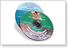 Dubai Ports, Customs & Free Zone Corporation