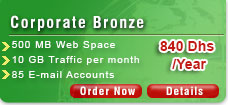 Web Hosting / Corporate Bronze Plan