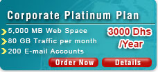 Web Hosting / Corporate Platinum Plan