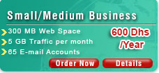 Web Hosting / Small Business Plan