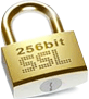 256 Bit SSL