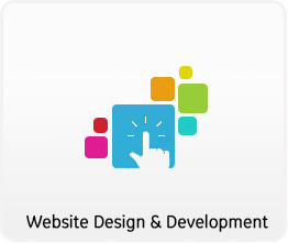 Website Design & Development